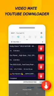 Vidora YouTube Downloader | free & fast скриншот 10