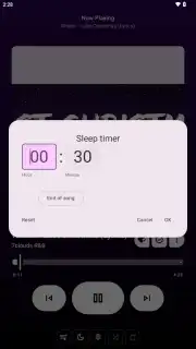 VIVI Music скриншот 20