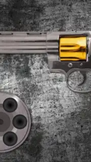 Best Russian Roulette скриншот 8