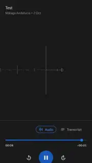 Google Recorder скриншот 2
