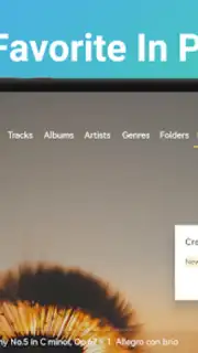 Music Player&Audio:Echo Player скриншот 1