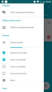 Youdao Translate скриншот 9