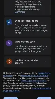 Google Gemini скриншот 3