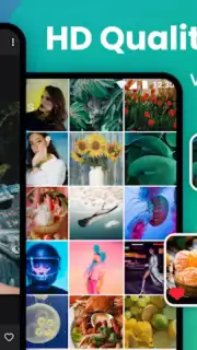 Gallery скриншот 9