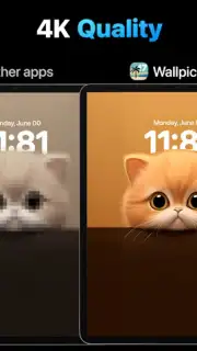 Wallpics скриншот 3