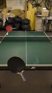 Table Tennis Touch скриншот 10