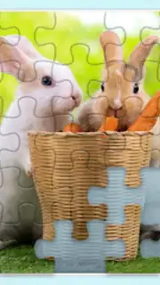 Puzzles without Internet скриншот 5