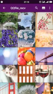 Smart Gallery - Photo Manager скриншот 6