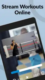 Ultimate MMA Fighting Program скриншот 1