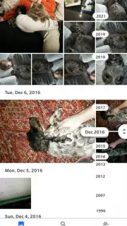 Google Photos скриншот 4