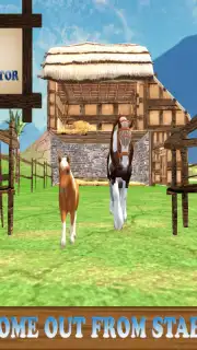 Pony Horse Simulator Kids 3D скриншот 13
