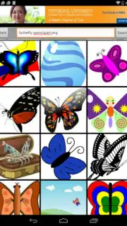 Butterfly Flower for DoodleTex скриншот 4