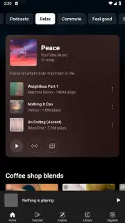 YouTube Music (Android TV) скриншот 13