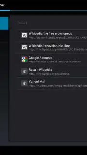 Tint Browser скриншот 1