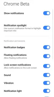 Chrome Beta скриншот 12
