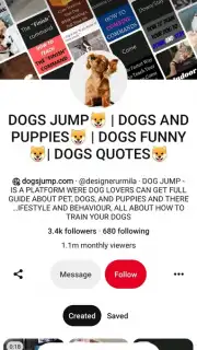 Pinterest скриншот 6