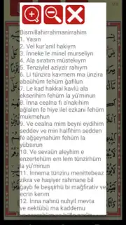 Yasin Suresi скриншот 3