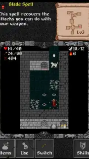Ananias Mobile Roguelike скриншот 3