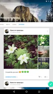 VK Amberfog скриншот 6