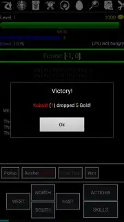 Random Adventure Roguelike скриншот 10