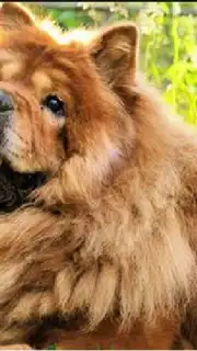 Camera HD скриншот 8