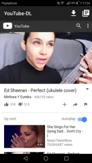 YouTube-DL скриншот 3