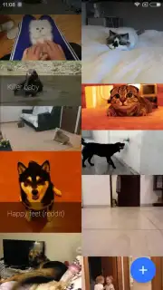 GfyCat скриншот 7