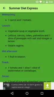 Summer Diet Express скриншот 1