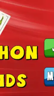 Chinchon and Friends скриншот 7