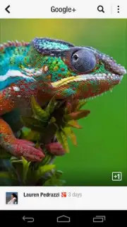 Flipboard скриншот 8