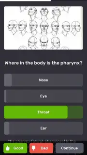 QuizzLand скриншот 1