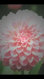 After Effect скриншот 5