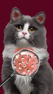 Cat ASMR: Salon Makeover скриншот 1