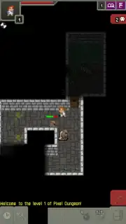 Moonshine Pixel Dungeon скриншот 6