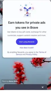 Brave Browser скриншот 3