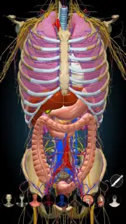 3D Anatomy Learning скриншот 4