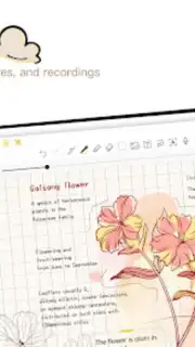 J Notes：Note-Taking&Editor PDF скриншот 11