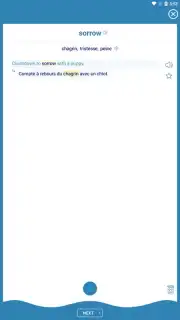 Reverso Translation Dictionary скриншот 17
