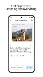 Google Gemini скриншот 8