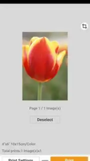Canon PRINT Inkjet/SELPHY скриншот 3