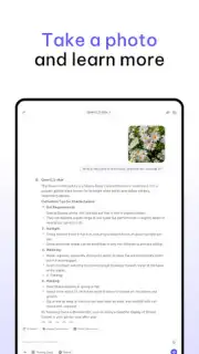 Qwen Chat скриншот 17