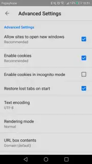 CN Browser скриншот 3