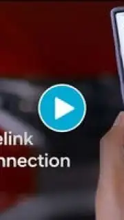 Bluelink скриншот 1