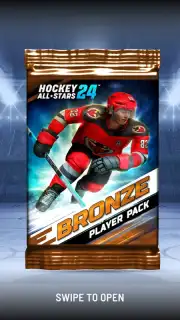 Hockey All Stars 24 скриншот 14