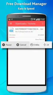 Free Download Manager скриншот 1