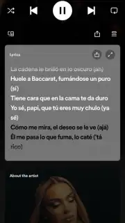 Spotify скриншот 14