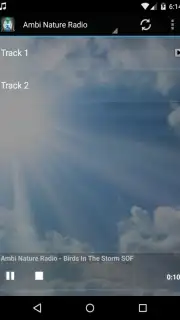 The Reiki Channel скриншот 1