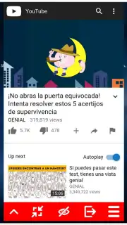 MiniTube скриншот 3