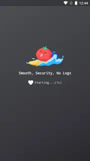 VPN Tomato скриншот 6