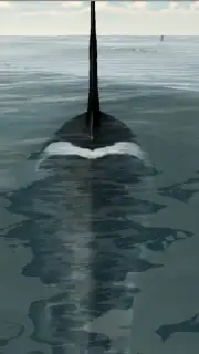 Orca Simulator скриншот 5